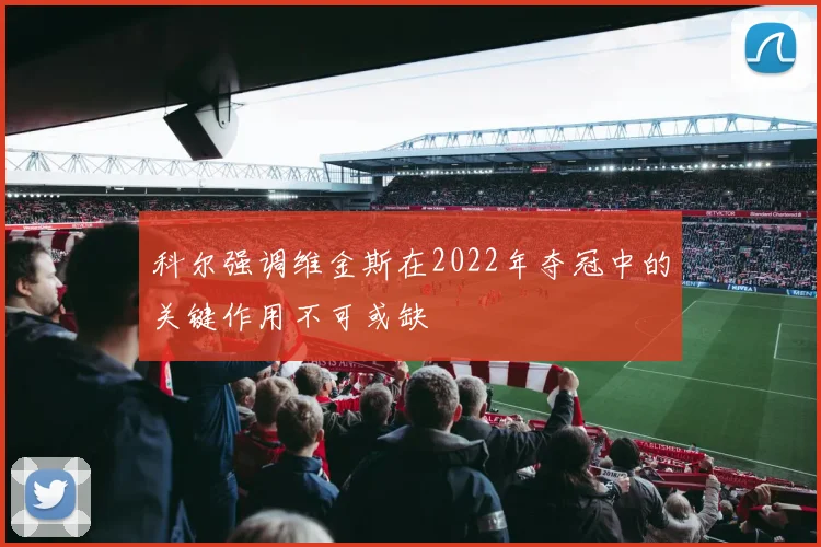 科尔强调维金斯在2022年夺冠中的关键作用不可或缺
